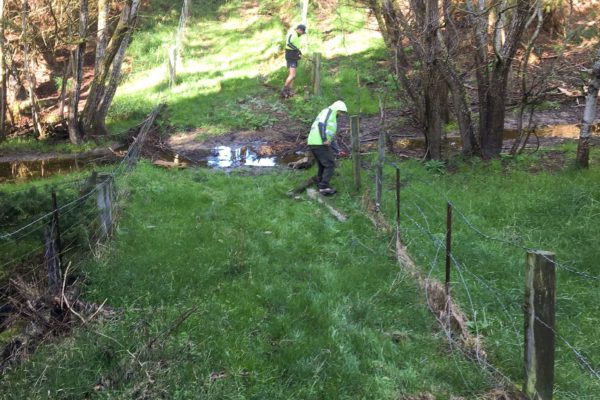 Thornz Landscapes Employees On Rural Site Removing Fencing To Make Way For Excavator To Create Stock Race Driveway