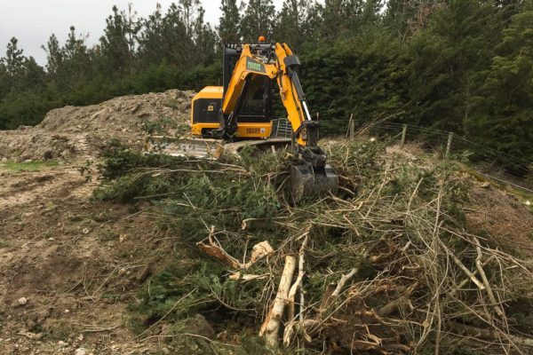 Excavator On Rural Site Clearing Earth, Trees And Debris