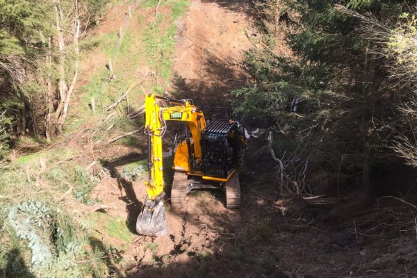 Rural Driveway Race Creation. Earthworks With Excavator Clearing Earth And Trees