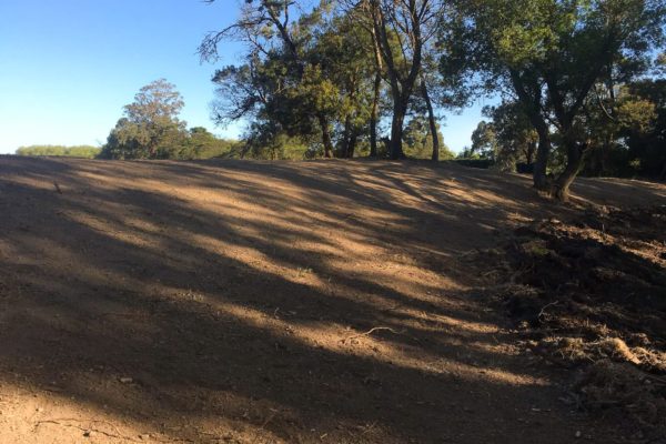 Rural Land Clearing, Excavation And Earthworks Thornz Landscapes